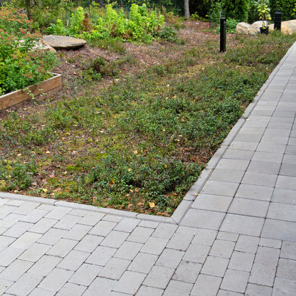 Citykivi 60 karelia LÖYTÖ